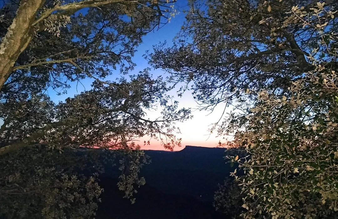 La terraza-1